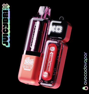 아보카도 쥬시브릭스 킷